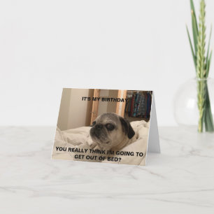 Pug Birthday Kaart, sarcastische kaart