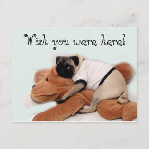 Pug Blues Briefkaart