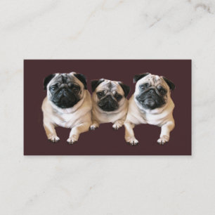 Pug Breeder Visitekaartje