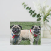 Pug Briefkaart (Staand voorkant)