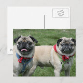 Pug Briefkaart (Voorkant / Achterkant)