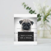 Pug Briefkaart (Staand voorkant)