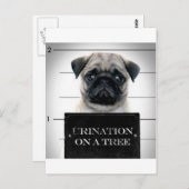 Pug Briefkaart (Voorkant / Achterkant)