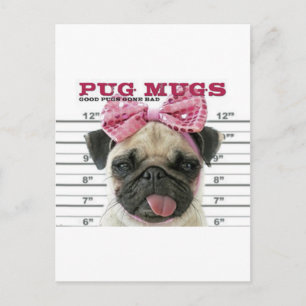 Pug Briefkaart