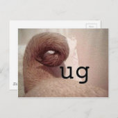 Pug Briefkaart (Voorkant / Achterkant)