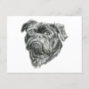 Pug Briefkaart