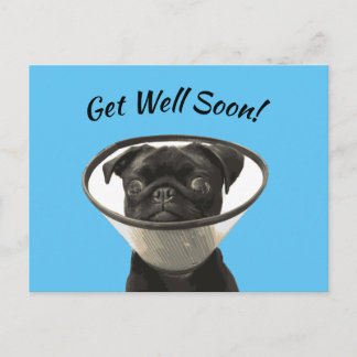Pug Briefkaart