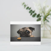 Pug Briefkaart (Staand voorkant)