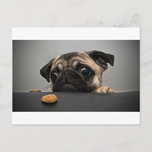 Pug Briefkaart (Voorkant)