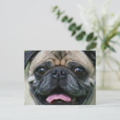 Pug Briefkaart (Staand voorkant)