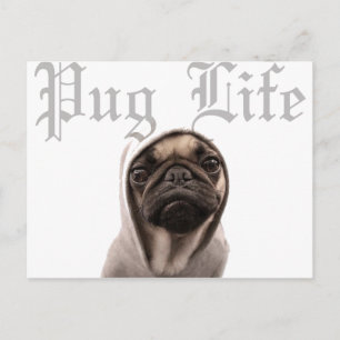 Pug Briefkaart