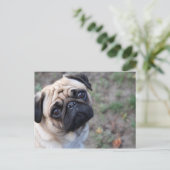 PUG BRIEFKAART (Staand voorkant)