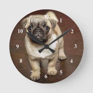 Pug Brown Dog Photo Ronde Klok