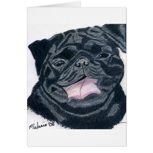 Pug & Bulldog mix - Jaba (Voorkant)