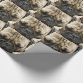 Pug Cadeaupapier (Hoek)