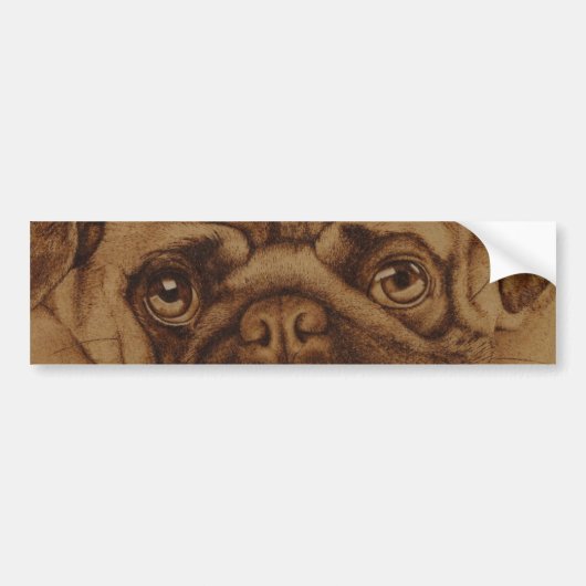 Pug calcomanía de parachoque bumpersticker (Voorkant)