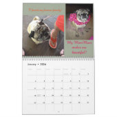 Pug Calendar Kalender (Jan 2026)