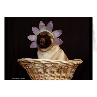 Pug Card # 2