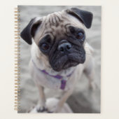 Pug Closeup Planner (Voorkant)