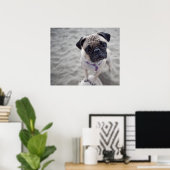Pug Closeup Poster (Thuiskantoor)
