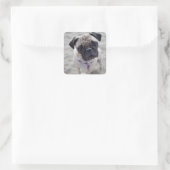 Pug Closeup Vierkante Sticker (Tas)
