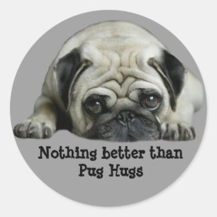 Pug Clown at Heart Sticker