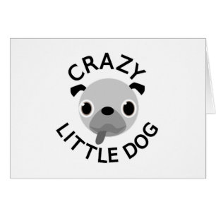 Pug Crazy Little Dog