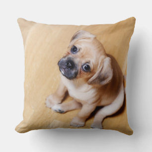 Pug Cross Cavalier King Charles Spaniel Kussen