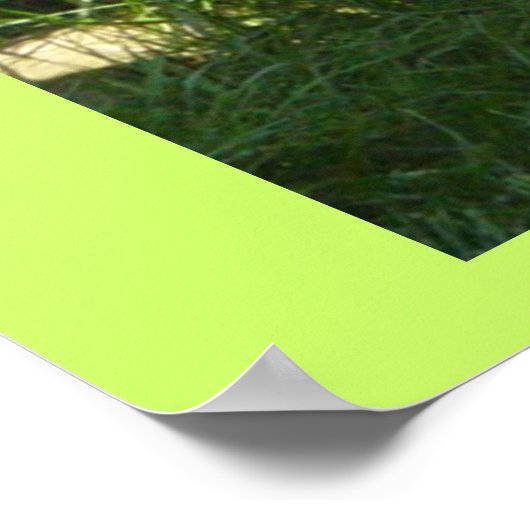 Pug-dag Poster (Hoek)