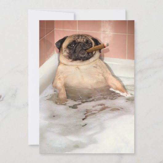 Pug die Bubble Bath pakt Kaart (Voorkant)