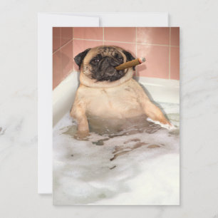 Pug die Bubble Bath pakt Kaart