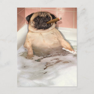 Pug die Bubble Bath pakt Uitnodiging Briefkaart