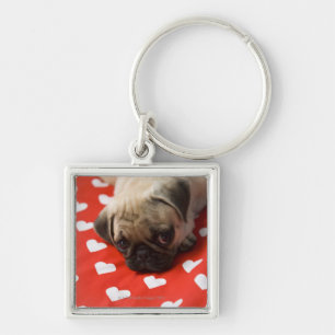 Pug die op bed ligt, sluit dicht sleutelhanger