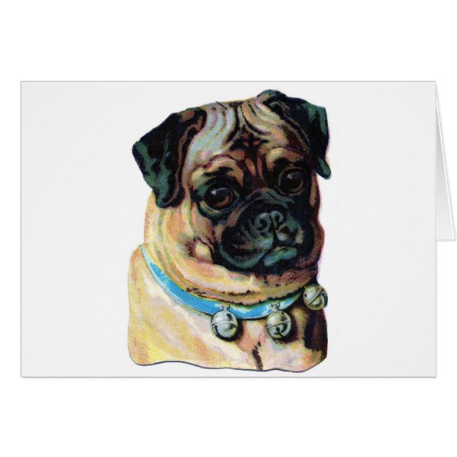 Pug Dog  (Voorkant Horizontaal)