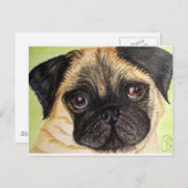 Pug Dog Briefkaart (Voorkant / Achterkant)