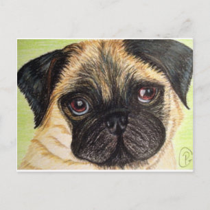 Pug Dog Briefkaart