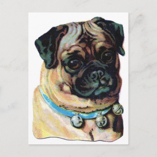 Pug Dog Briefkaart (Voorkant)