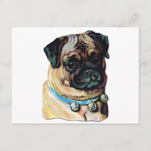 Pug Dog  Briefkaart (Voorkant)