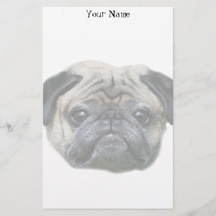 Pug dog briefpapier