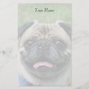 Pug dog briefpapier