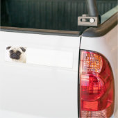 Pug Dog Bumpersticker
Bumpersticker (Op Truck)