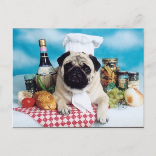Pug Dog Chef Briefkaart (Voorkant)