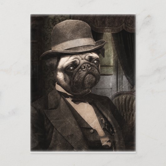 Pug Dog Dapper Gent Briefkaart (Voorkant)