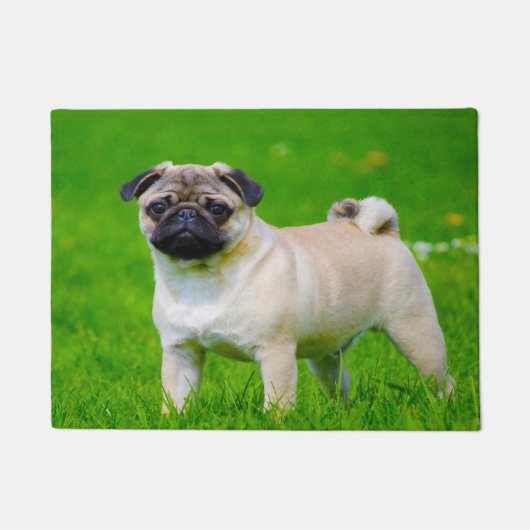Pug Dog. Deurmat (Voorkant)