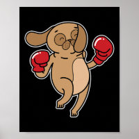 Pug Dog doet aan boksen