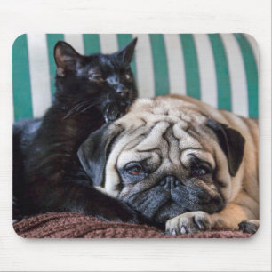 Pug Dog en Black Cat Slapen samen Muismat