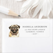 Pug Dog Etiket (Insitu)