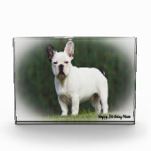 Pug Dog. Fotoblokken (Voorkant)