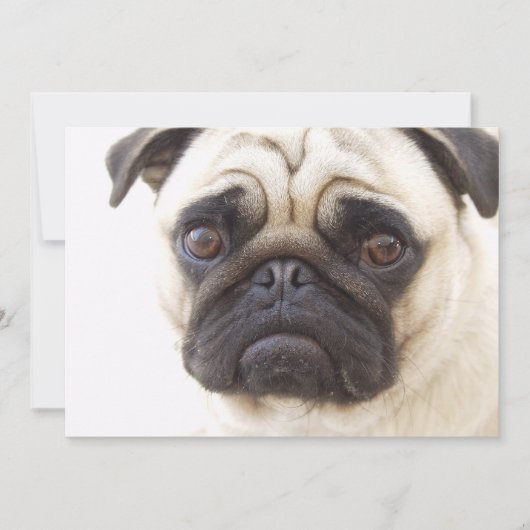 Pug Dog Invitation Kaart (Voorkant)