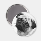 Pug Dog Magneet (Voorkant / Achterkant)